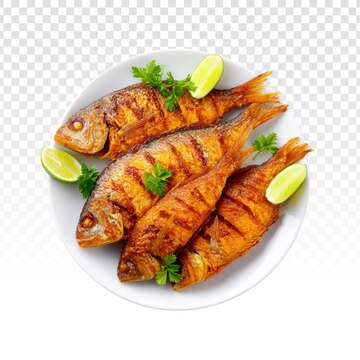Food Image